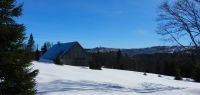 78 meteorologischer fruehlingsbeginn_   tief verschneit ist  noch die lichtung mit dem schachtenhaus - der turm auf dem polednik ist bereits jenseits der grenze